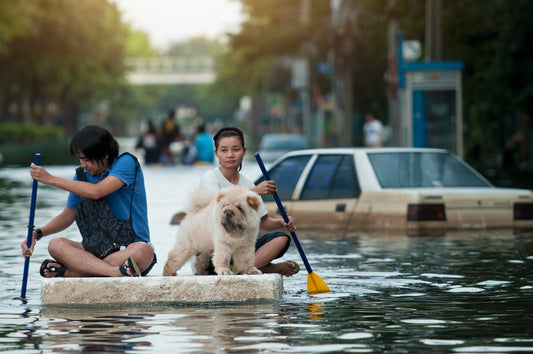 Flood Defence Engineering Workshop (4 weeks)